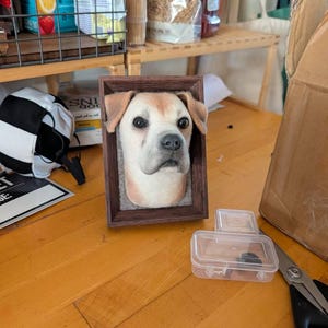 Leigh added a photo of their purchase