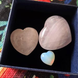 Divina added a photo of their purchase