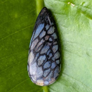 Amber hat ein Foto des gekauften Artikels hinzugefügt