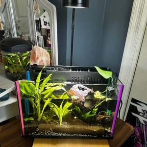 Erika added a photo of their purchase