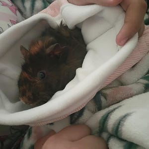 Charlene added a photo of their purchase