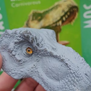 RBFproductionsNL added a photo of their purchase