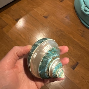 Ashley added a photo of their purchase