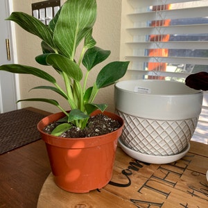 Stephanie added a photo of their purchase