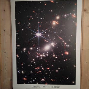 Meerke added a photo of their purchase