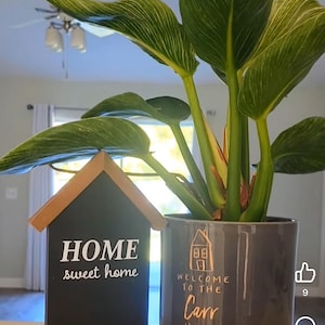 Alexia added a photo of their purchase