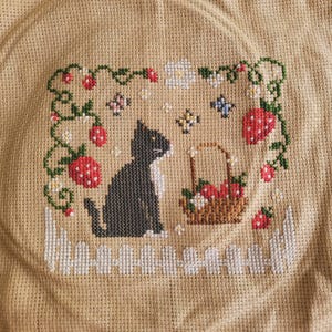 Kimberly added a photo of their purchase