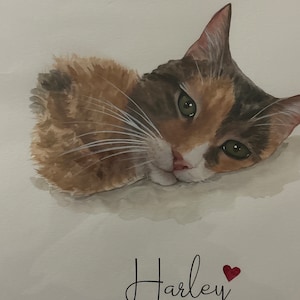 Melissa added a photo of their purchase