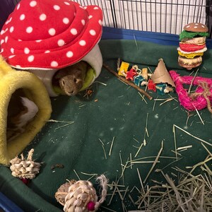Emily added a photo of their purchase