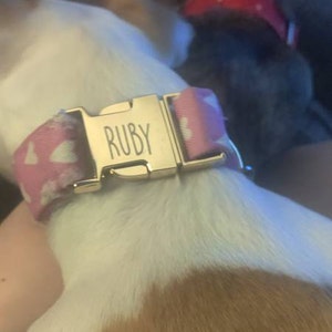 Lindsey added a photo of their purchase