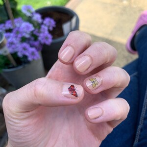 Butterfly Nail Transfers - Illustrated Nail Art Decals - Etsy