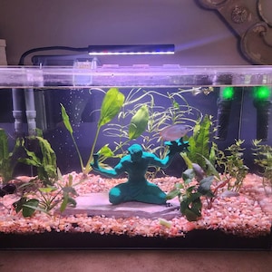 Elena added a photo of their purchase