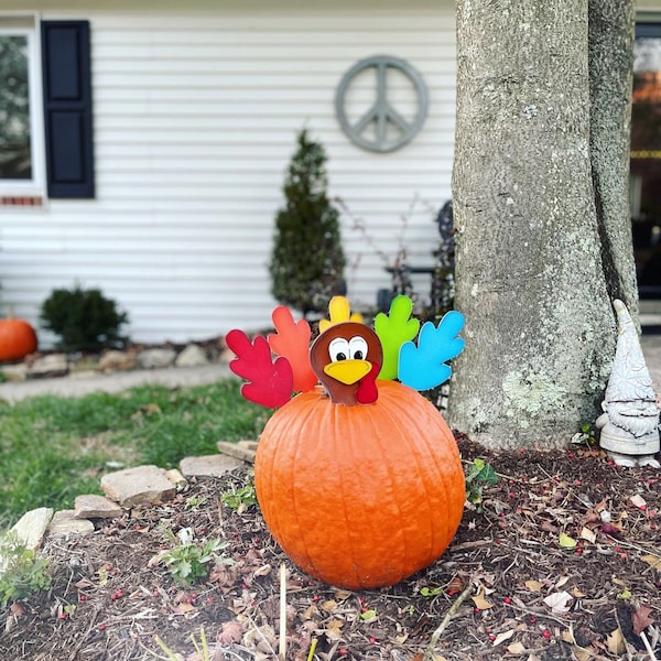 Turkey Pumpkin Kit - Etsy