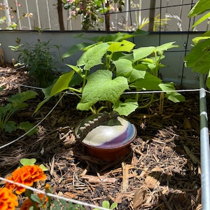 Comprador de Etsy ha añadido una foto de su compra