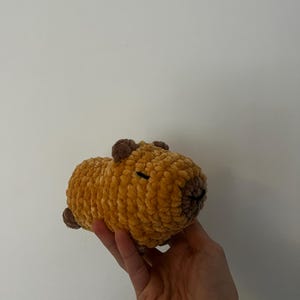 Steph hat ein Foto des gekauften Artikels hinzugefügt