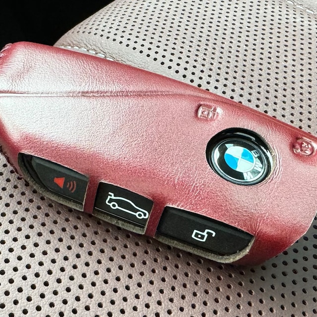 Pipo Store BMW key cover pouch (4 key types) Pipo Store