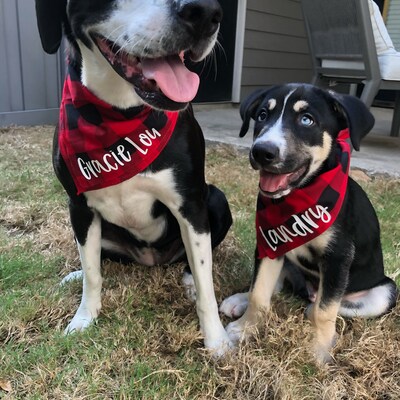 Personalized Dog Bandana Collar – Soft Cotton, Custom Name ID, Adjustable For Small To Large Breeds
