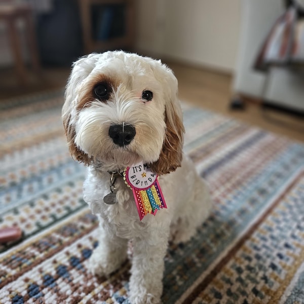 Rainbow Sparkle Birthday Badge Rosette - Etsy UK