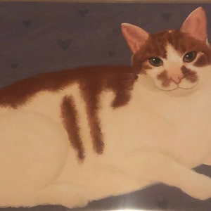 haley added a photo of their purchase