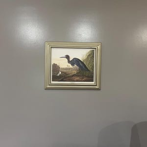 Gay a ajouté une photo de son achat