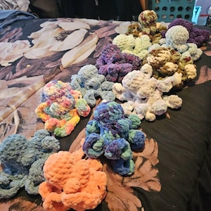 Azucena added a photo of their purchase