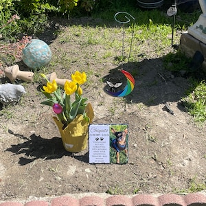 Alexis added a photo of their purchase