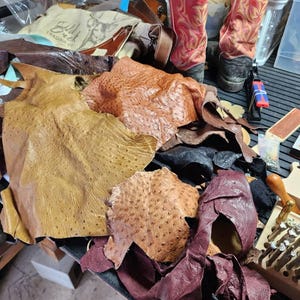 Kay added a photo of their purchase