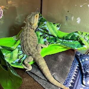 Tara added a photo of their purchase
