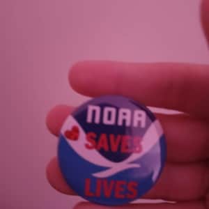 crystal added a photo of their purchase