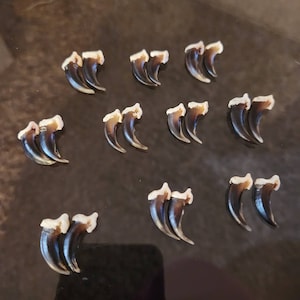 Megan added a photo of their purchase