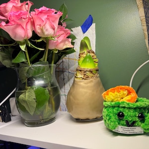 Etsy buyer added a photo of their purchase