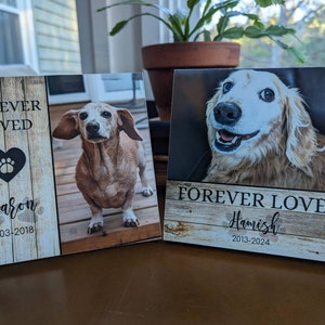 monalesaart added a photo of their purchase