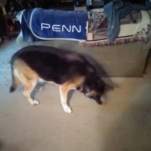 James hat ein Foto des gekauften Artikels hinzugefügt