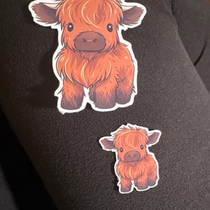 Eva added a photo of their purchase