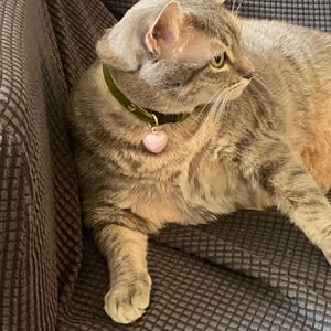 Roxanne hat ein Foto des gekauften Artikels hinzugefügt