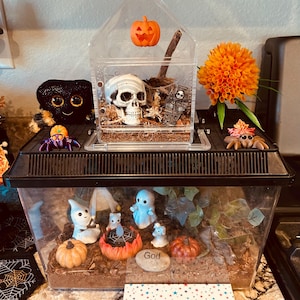 Karen added a photo of their purchase