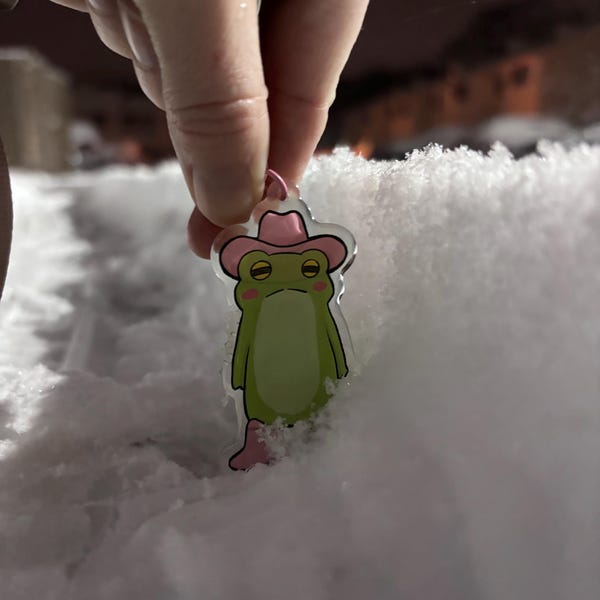 Cool Frog License Acrylic Keychain | Cute Sparkly Frog Pink Keychain - Etsy