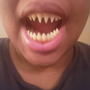 iap_300x300.2539494838_9m6v8knl.jpg
