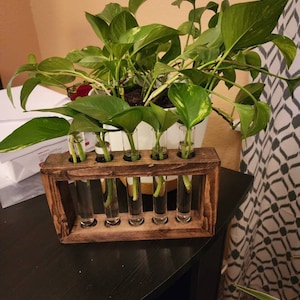 Deidre added a photo of their purchase