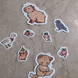 gnarp added a photo of their purchase