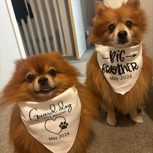 Jody added a photo of their purchase