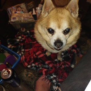 Danijela added a photo of their purchase