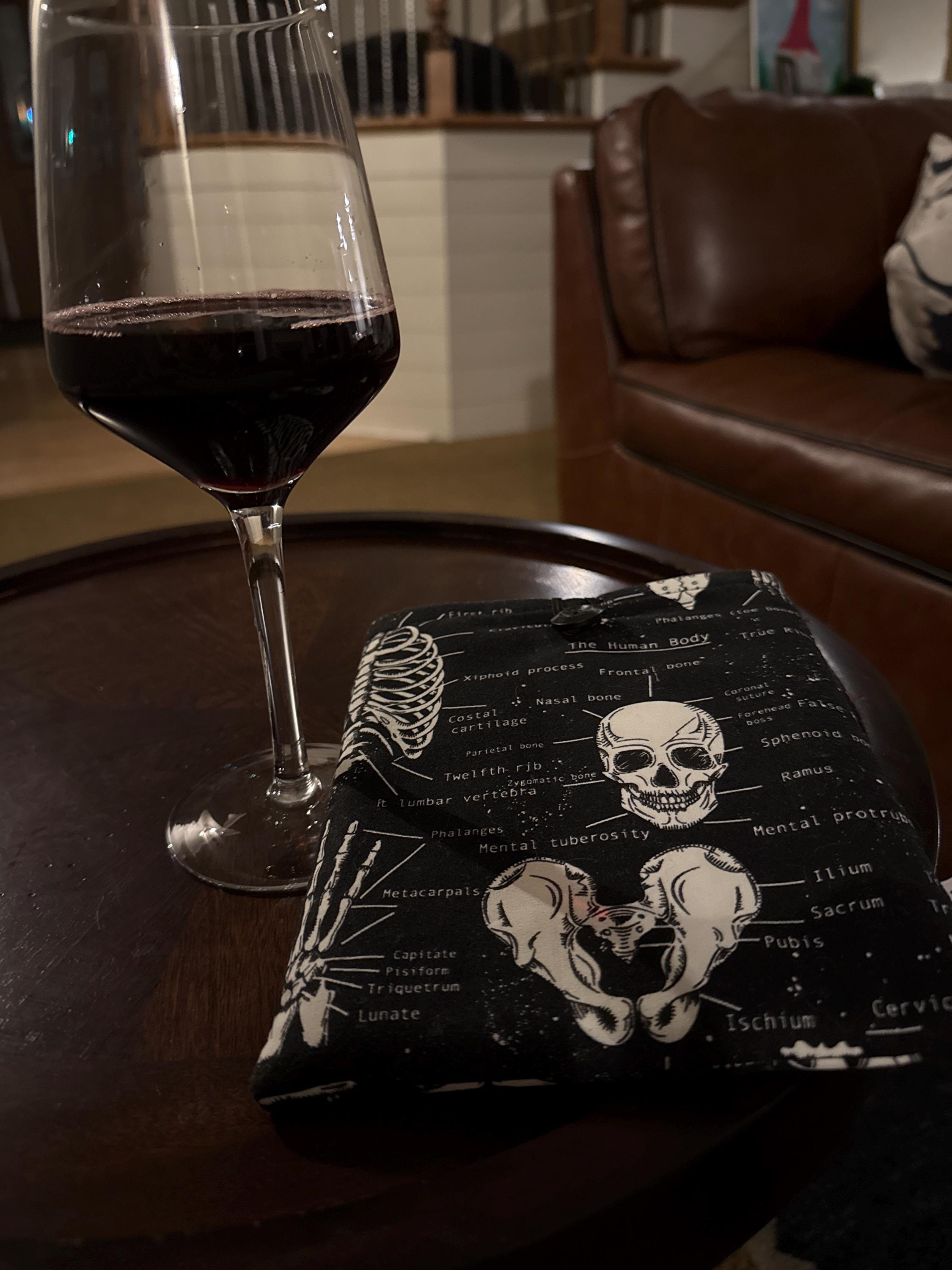 Book Sleeve Dark Academia, Skeleton Booksleeve, Anatomy Book Protector, Large Book Pouch, Padded Kindle Sleeve, Halloween Book Cover