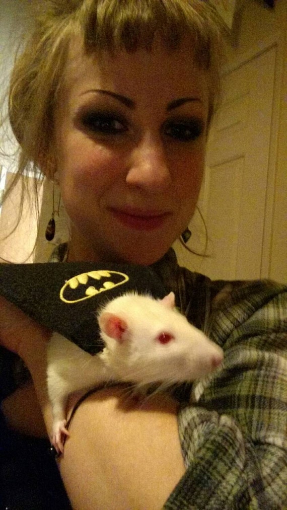 Customer photo of a pet with the Super cape small pets costume Hedgehog Vogue