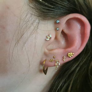 Beth added a photo of their purchase