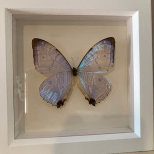 Jessica added a photo of their purchase