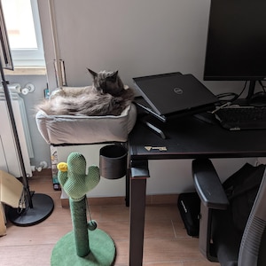 Elisa added a photo of their purchase