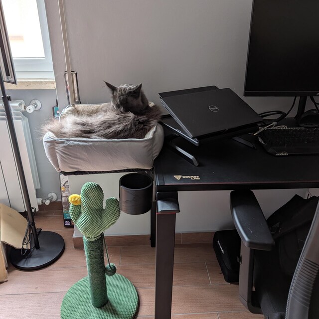 Cat Desk Bed Chewy Desk Nestu00ae Cat Bed U2013 Space-Saving