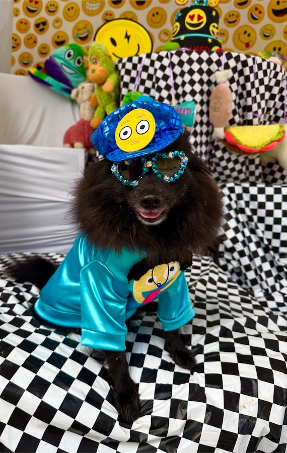 Customer photo of a pet with the Gatsby Hat