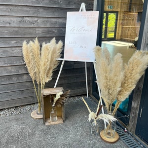 Lucy added a photo of their purchase